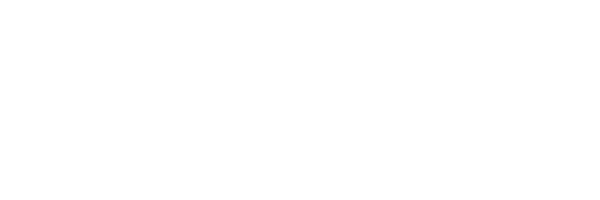 Ferrell Solutions Logo